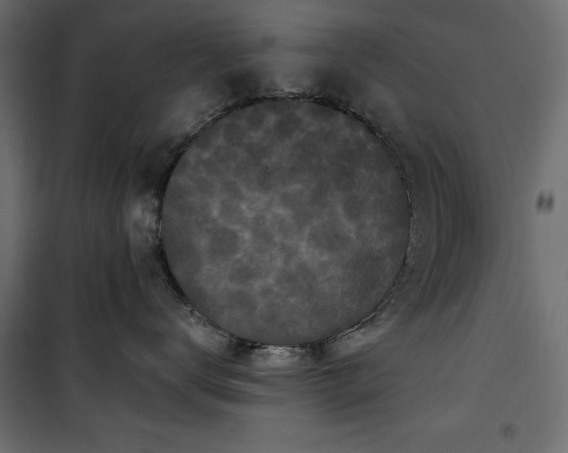 X0000101430672200807141243