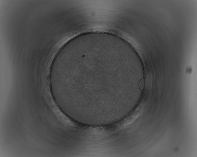 X0000101430673200807141242
