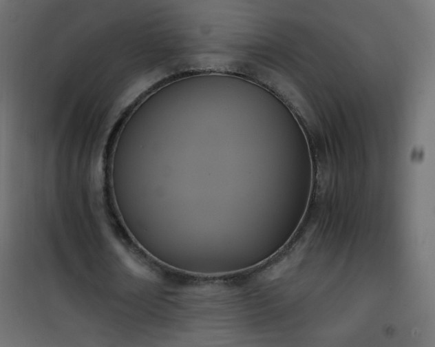 X0000101430674200807141242
