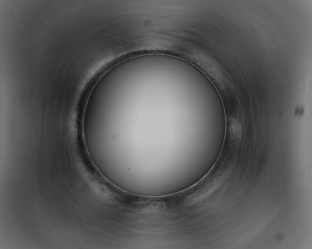 X0000101430676200807141242