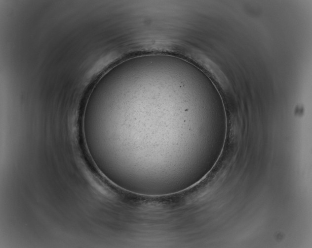 X0000101430677200807141242