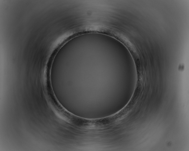 X0000101430678200807141242