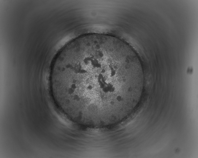 X0000101430679200807141242