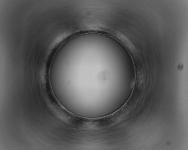 X0000101430680200807141242