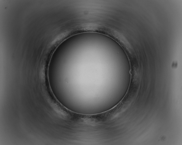 X0000101430681200807141242