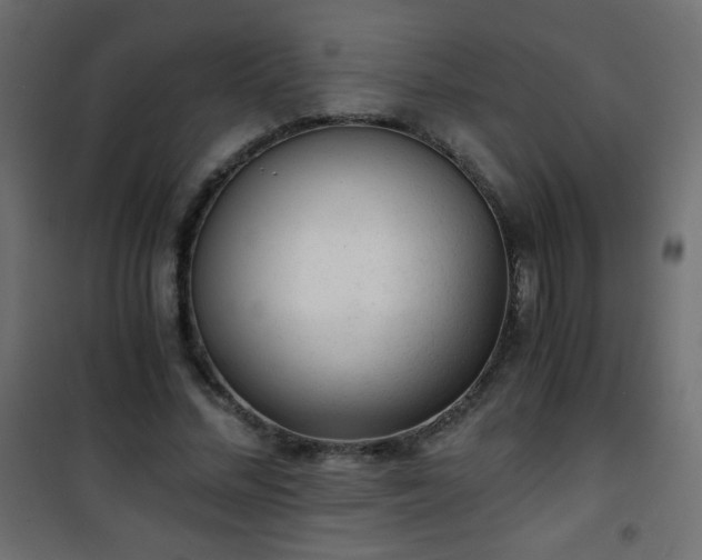 X0000101430684200807141242