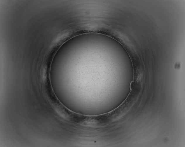 X0000101430685200807141242
