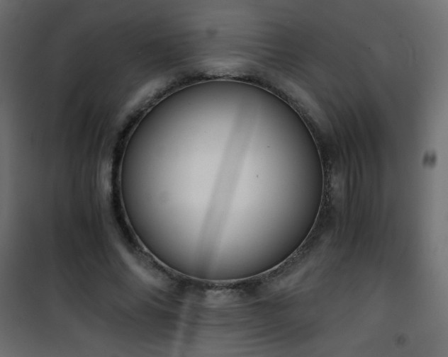 X0000101430686200807141242