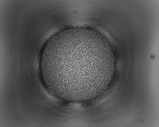 X0000101430687200807141242