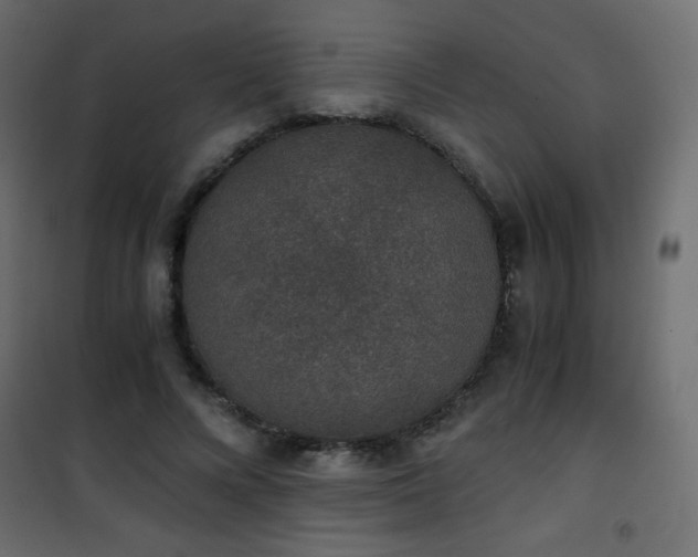 X0000101430688200807141242