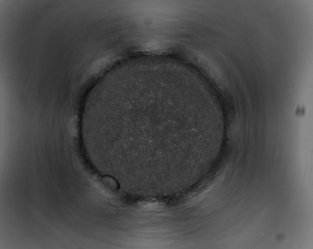 X0000101430689200807141242