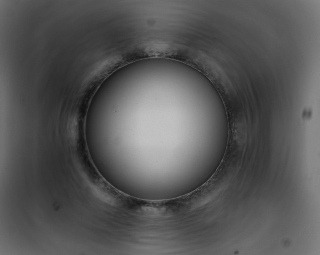 X0000101430690200807141242