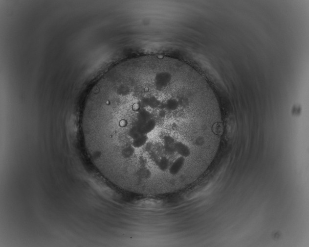 X0000101430691200807141242