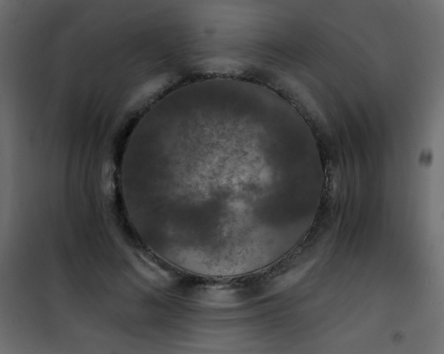 X0000101430692200807141242