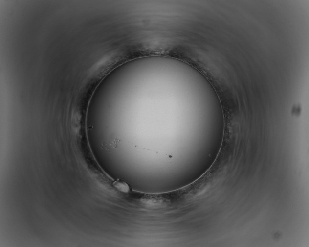 X0000101430693200807141242