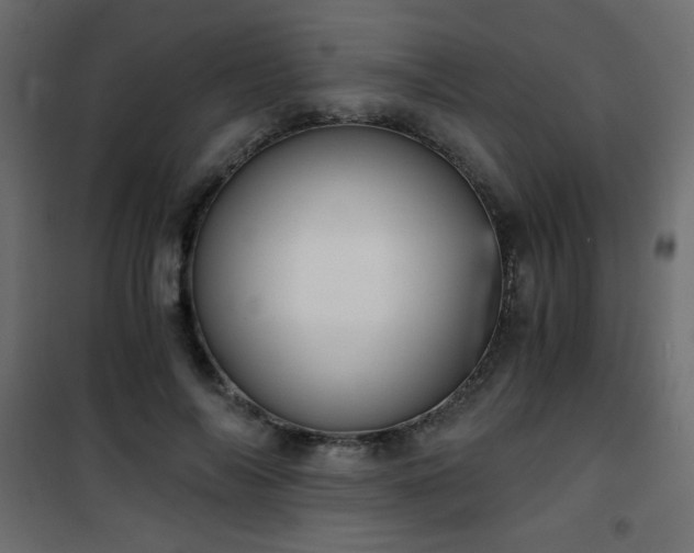 X0000101430694200807141242