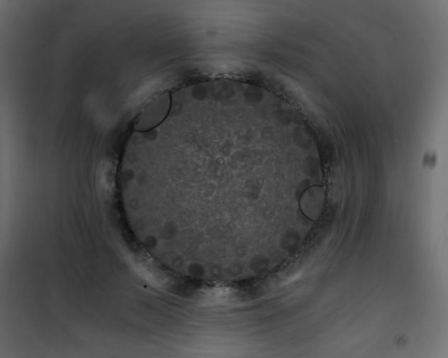 X0000101430695200807141242