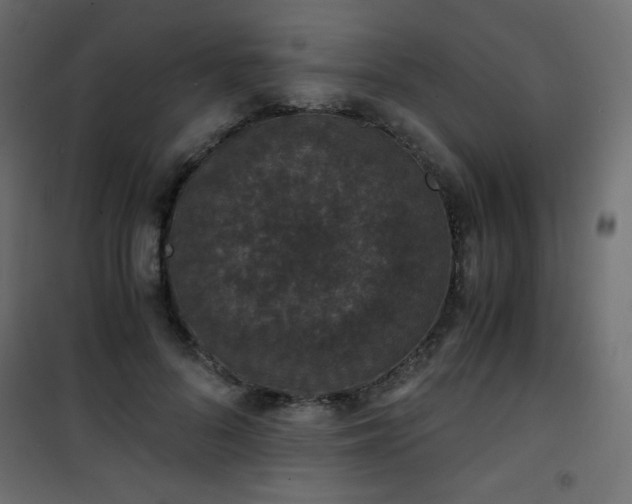 X0000101430696200807141242