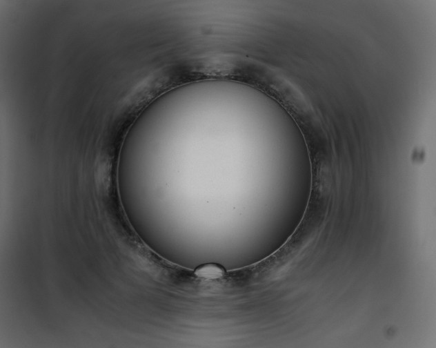 X0000101430697200807141242