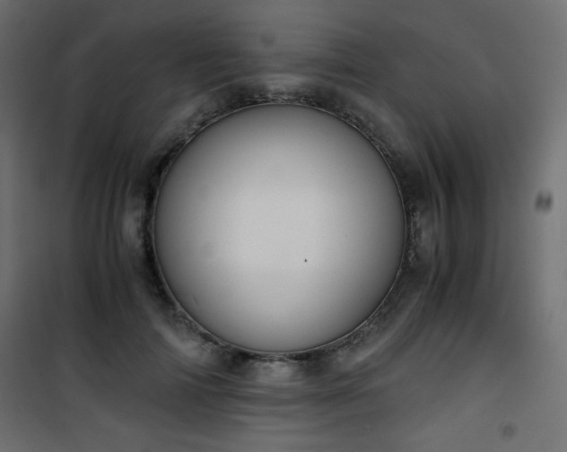 X0000101430698200807141242