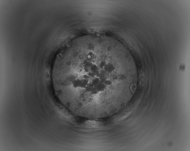 X0000101430699200807141242