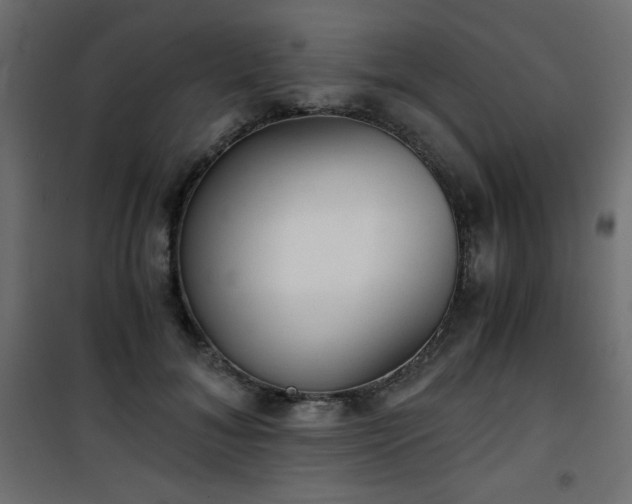 X0000101430700200807141242