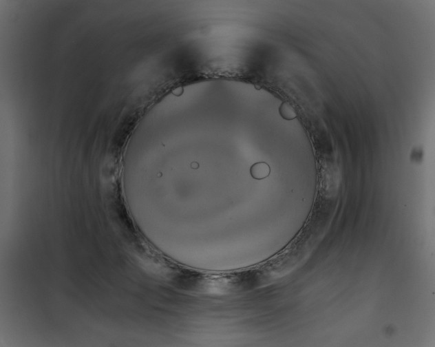 X0000101430701200807141242