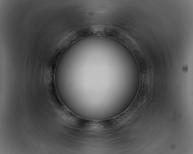 X0000101430702200807141242