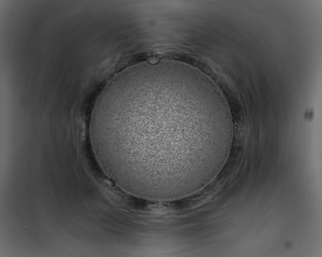 X0000101430703200807141242