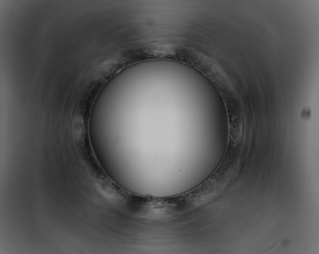 X0000101430704200807141241