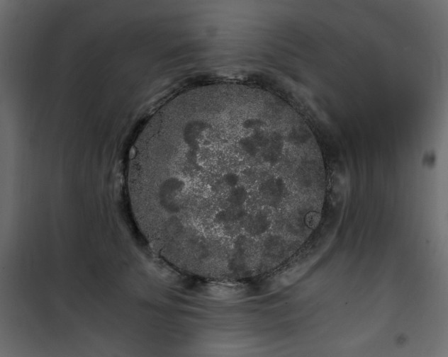 X0000101430707200807141241