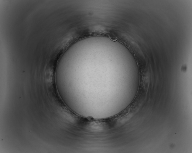 X0000101430708200807141241