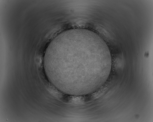 X0000101430709200807141241