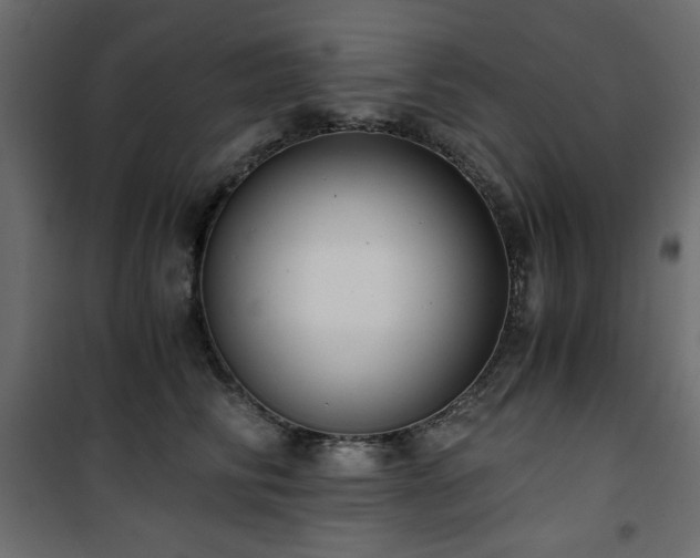 X0000101430710200807141241