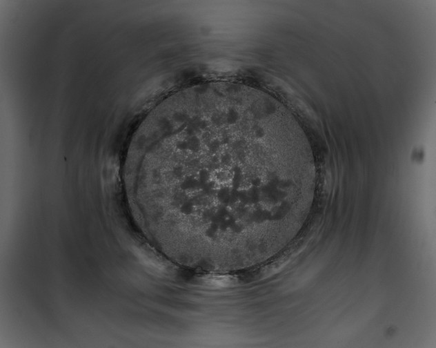 X0000101430711200807141241
