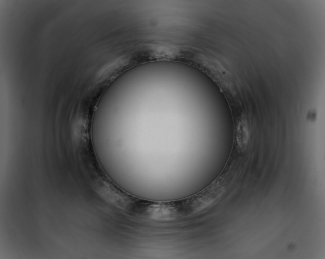 X0000101430714200807141241