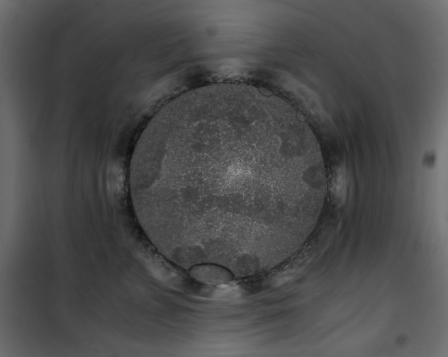 X0000101430715200807141241