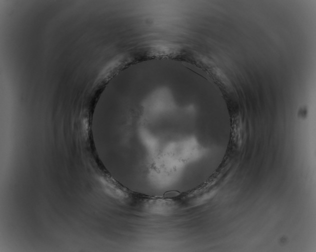 X0000101430716200807141241