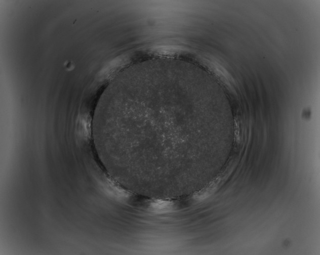 X0000101430718200807141241