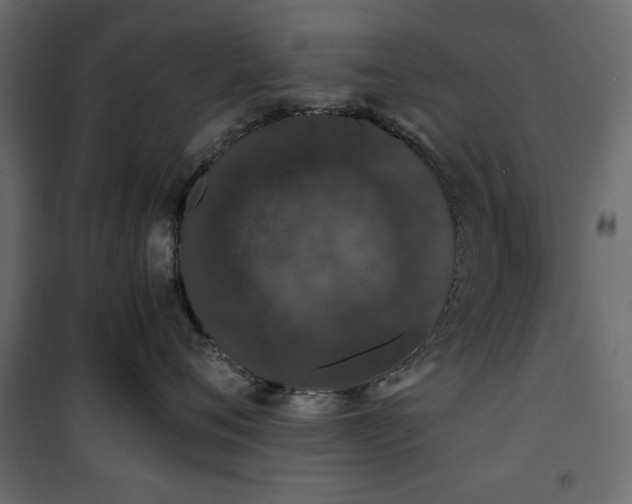 X0000101430720200807141241