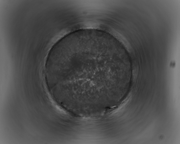 X0000101430721200807141241