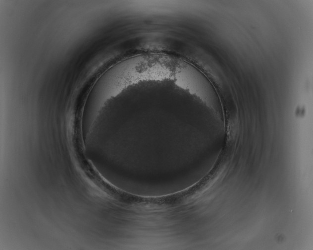 X0000101430722200807141241