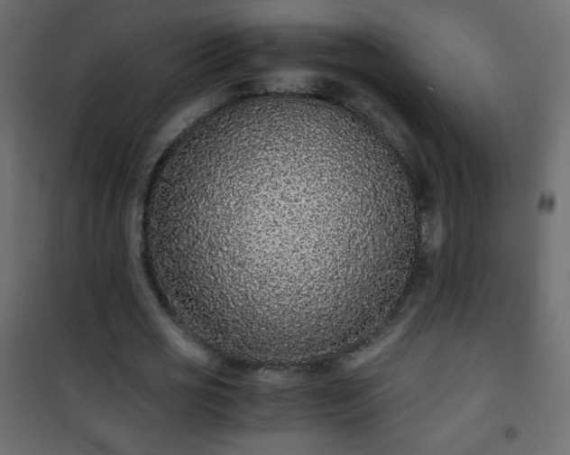 X0000101430725200807141241