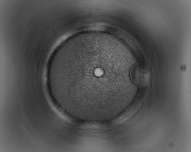 X0000101430726200807141241