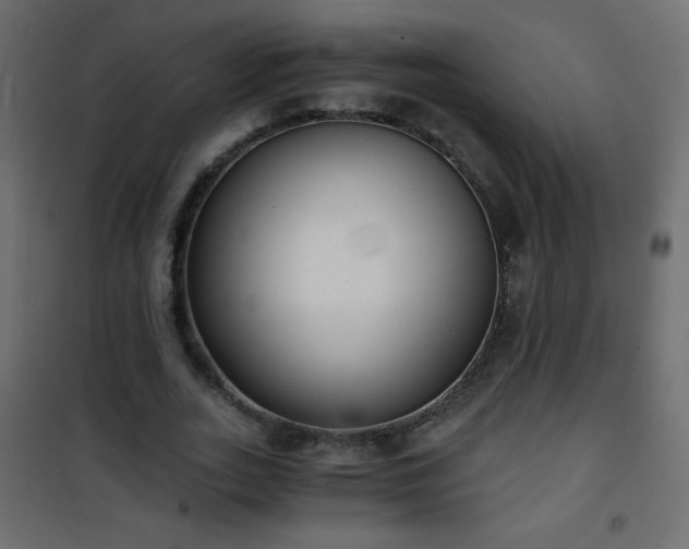 X0000101430727200807141241