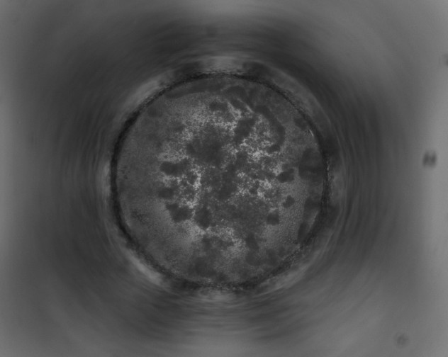 X0000101430729200807141241