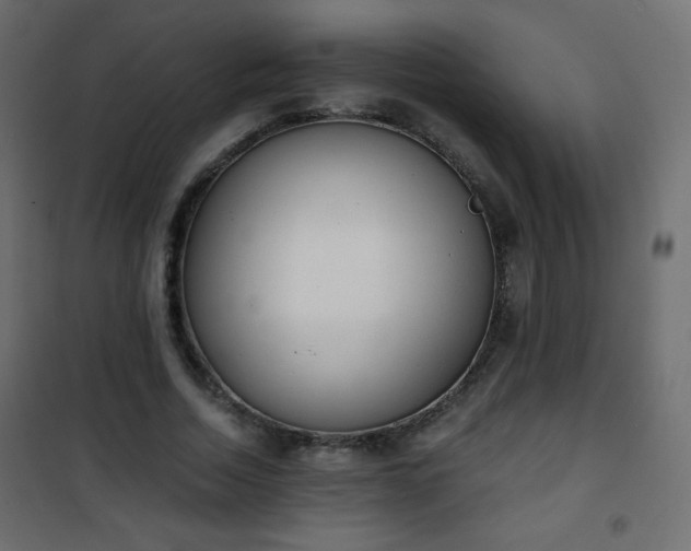 X0000101430730200807141241