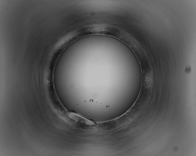 X0000101430732200807141241
