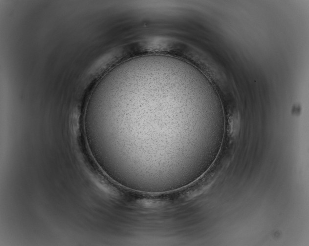 X0000101430733200807141241