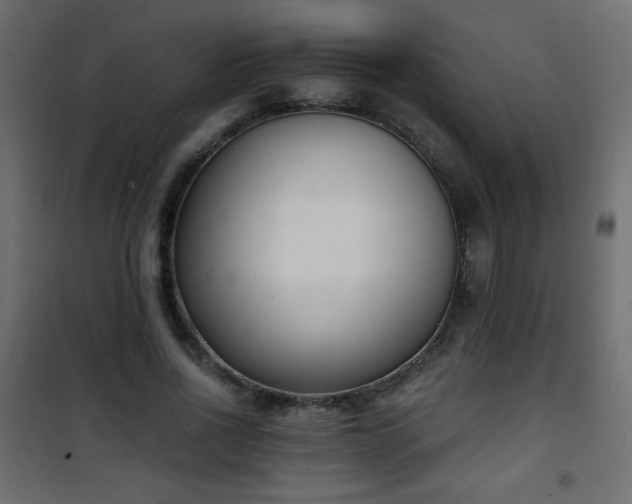 X0000101430734200807141241